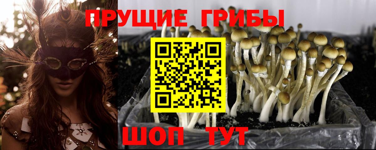 Галлюциногенные грибы MAGIC MUSHROOMS Воскресенск